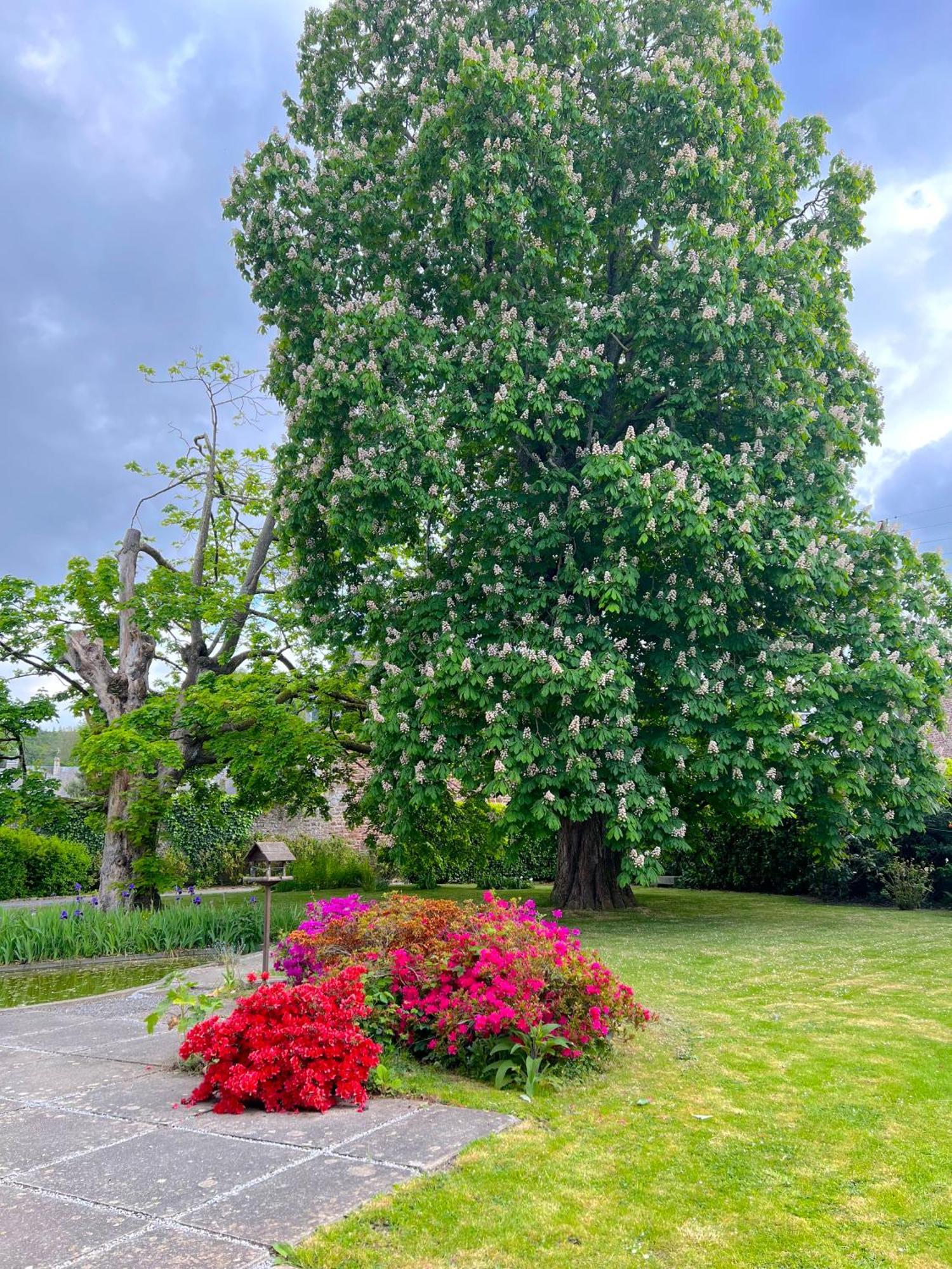 La Maison Gavraise Gavray-sur-Sienne Dış mekan fotoğraf